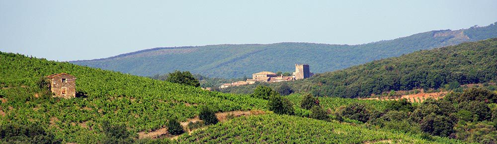 labores agrícolas